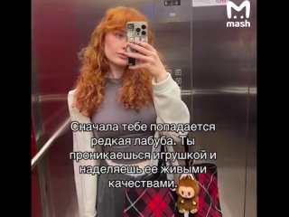 Серийный похититель Лабубу кошмарит московских модниц. Со слов пострадавших, плюшевых чудищ срывают с сумок прямо в... (видео)