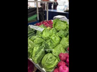 Чиновники объяснили, почему в Краснодарском крае и крае такие безумные цены на картофель, ягоды и фрукты  В краевом... (видео)