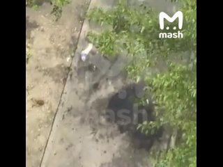 Никита П., устроивший взрыв в Ставрополе, снял квартиру в доме Заура Гурциева 15 дней назад. Предварительно, парень... (видео)