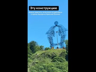 Таких красавчиков можно увидеть, если ехать по дублёру в сторону Адлера из Красной Поляны 🐬🐬🐬 (видео)
