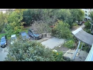 Дерево упало на машины во дворе Чапаева, 17.  Повреждения получили три авто, рассказала наша подписчица. По её словам,... (видео)