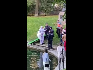 Пернатого москвича на сапборде задержали на Патриарших прудах    В Москве на Патриарших прудах полицейские задержали... (видео)