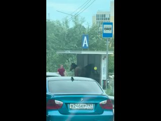 Жаль животных, заведут, и не следят. Безответственные "люди"🤬 - Ирина Николаевна