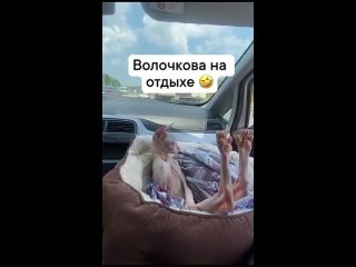 С превеликим удовольствием отлижу 👅 наське Волочковой. А я хочу трахаться и целоваться 💋, только я... - Тамара Тома