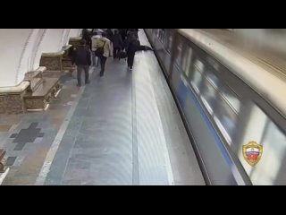 Во время конфликта женщина толкнула мужчину в приближающийся поезд на станции Арбатская.  К счастью, пострадавший... (видео)