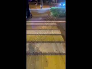 Ничего необычного, просто на Короленко выгуливают послушного гуся (видео)