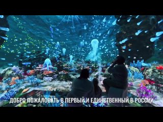 ВПЕРВЫЕ В ЛАЗАРЕВСКОМ!   Иммерсивный кинотеатр – это кинотеатр, создающий эффект полного погружения зрителя в... (видео)