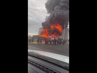 Мне искренне жаль родителей тех детей, которые это сделали.... - Татьяна Андреева