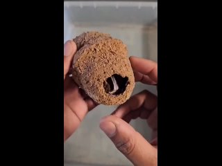 Появляется на свет? А на видео типа кесарево чтоль??🤔🤨 - Женька Серебров