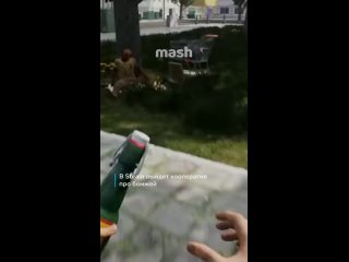 Это Симулятор бухальцева - Робот Шелезякин