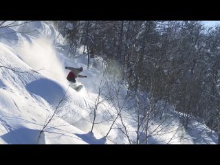 PATHOLOGY: A MOVIE ABOUT SNOWBOARDING AND HUMANS