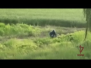 🚨 Росгвардия пресекла теракт на военном объекте в Рязанской области    🔔 Сотрудники Росгвардии, обеспечивающие охрану... (видео)