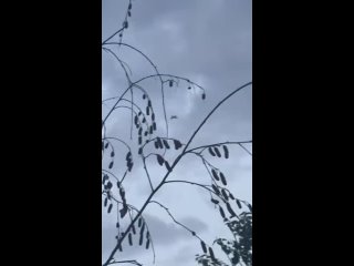 📡 В Донецке работает ПВО  Налет БПЛА украинских террористов на Донецк. Расчеты ПВО отражают атаку.  ️ Будьте... (видео)