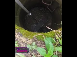 В Калужской области местные жители организовали спасательную операцию по спасению бобра из колодца    Почти у самого... (видео)