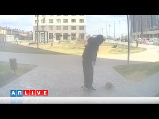 Бедный щенок хозяин настоящий живодер🤬🤬🤬 - Арина Семёнова
