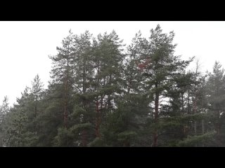 Очередной рейд по поиску нарушителей миграционного законодательства и ПДД прошел в Курортном районе. Проверено 336... (видео)