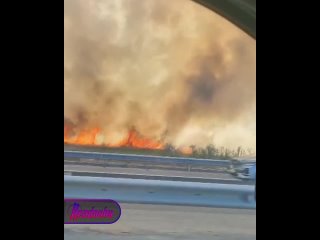 Пал травы в Ростовской области привел к пожару в ближайшем селе — из-за огня перекрыта часть дороги из Ростова до Азова... (видео)