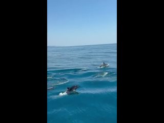 Джамбул... Там тепло,там мой дом,там моя мама. - Сергей Владимирович