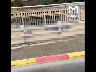 Четыре человека погибли во время терракта в Иерусалиме. Число раненых возросло до 20 человек. Боевики подошли к... (видео)