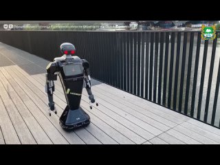 Робот-медбрат, созданный курганскими инженерами из ООО «Модеста» специально в помощь врачам, был представлен на X... (видео)