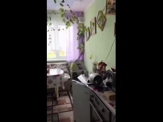 "Не у нас"  😨 Сильнейшее с 1952 года землетрясение произошло на Камчатке.   О случившемся:   ▪️Эпицентр находился в... (видео)