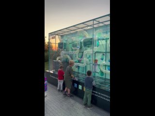 Новая локация в парке Елмай (видео)