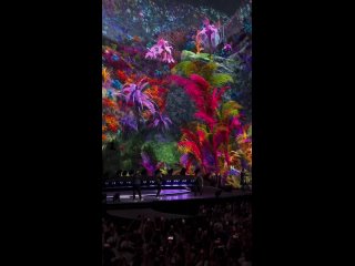 Ксения Бородина в США мужа на концерт Backstreet boys сводила  Супруги, путешествующие по Америке, специально приехали... (видео)