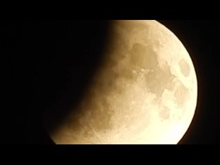Курганцы делятся невероятными кадрами затмения 🌒 (видео)