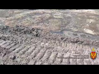 Против руководства сахарного завода в Сергаче завели уголовное дело. Исполнительного директора предприятия подозревают... (видео)