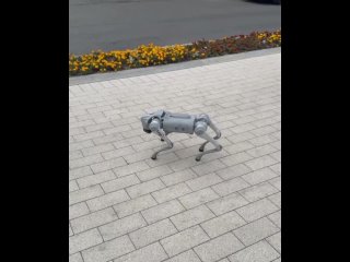 Ничего необычного, просто робопёс Паша гуляет на Рождественской 🤖  Из плюсов такого питомца — не лает, не линяет, и... (видео)
