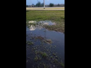 Здравствуйте. Обращаемся к Вам с проблемой постоянного выхода сточных вод из канализационных колодцев вдоль проспекта... (видео)