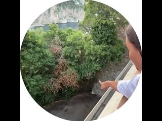 Боня не уберегла Мусика, которого привезла в Монако из Москвы. Котенок упал с террасы и сломал челюсть😢  Виктория с... (видео)