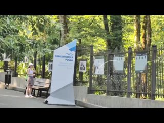 Одна из визитных карточек Сочи выглядит всё хуже  Проблема Тисо-Самшитовой рощи начинается ещё на подходе к объекту... (видео)