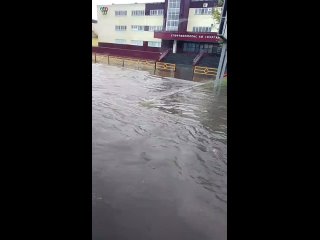 Стабильность "радует"! - Валентина Ган