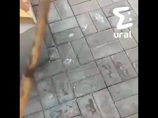Следователи возбудили уголовное дело об осквернении символа воинской славы   Ранее мы писали, что вчера вечером в... (видео)