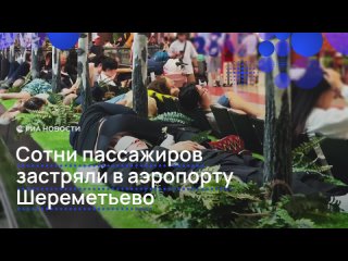 Сотни пассажиров застряли в Шереметьево из-за массовых задержек рейсов 20 и 21 июля. Некоторым пришлось спать на... (видео)