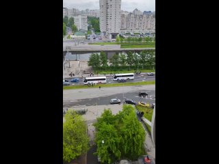 У лосей миграция - Константин Аброчнов