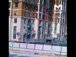 Москвичка выкинула котёнка в окно, бросив своего престарелого любовника. Семимесячный скоттиш-фолд Тайсон сломал... (видео)