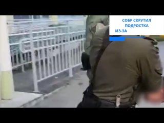 Подростка из Ленобласти скрутил спецназ из-за комментариев  СК отчитался о задержании 18-летнего жителя Волосовского... (видео)
