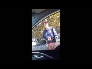 🪄 «Я выпил литр водочки»: в стельку пьяный ряженый гаишник тормозил автомобилистов в Ростовской области   ... (видео)