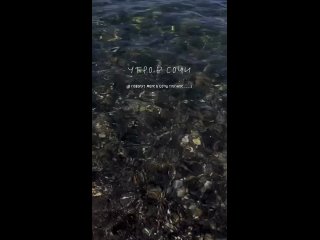 Море в Сочи чистое, особенно в штиль ранним утром  Видно каждый камушек на глубине около 3 метров. (видео)