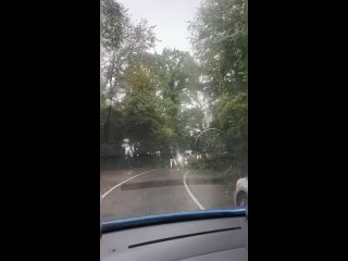 🌧 А вот и обещанная непогода в Сочи.   Погода поменялась за считанные минуты, пишут в соцсетях. От штормового ветра на... (видео)