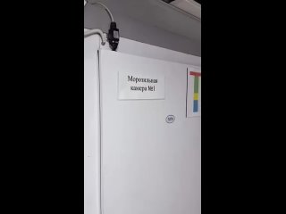 В Москву пришло лето - Любовь Успенская почувствовала себя куском говядины и охлаждается в морозилке (видео)