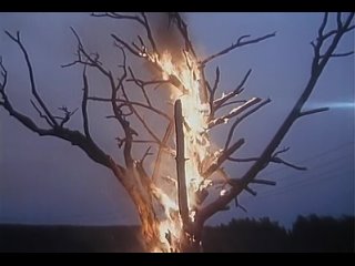 Фильм - Беспредел (1989) СССР