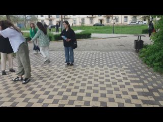 Розовые  Розы