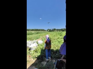 Доставка арбузов (видео)