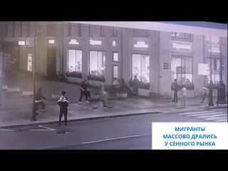 Пятерых мигрантов задержали после драки в центре Петербурга  Иностранные специалисты ночью устроили массовое побоище на... (видео)
