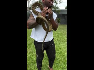 🐍😱 Меня УДИВЛЯЕТ его уровень БЕССТРАШИЯ (видео)