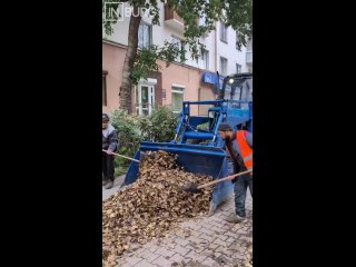 На Втузгородке особенно ощущается наступление осени   Листьев опало столько, что коммунальщики собирают их трактором и... (видео)