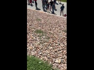 Покушение на Чарли Кирка совершил член Демократической партии    Стрелка зовут Майкл Маллинсон, сообщает Fox News.   ... (видео)